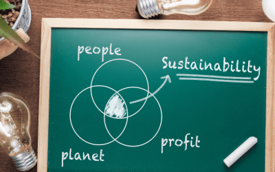 Actionable-Sustainability